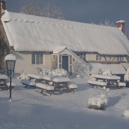 Compasses Inn Tisbury Εξωτερικό φωτογραφία